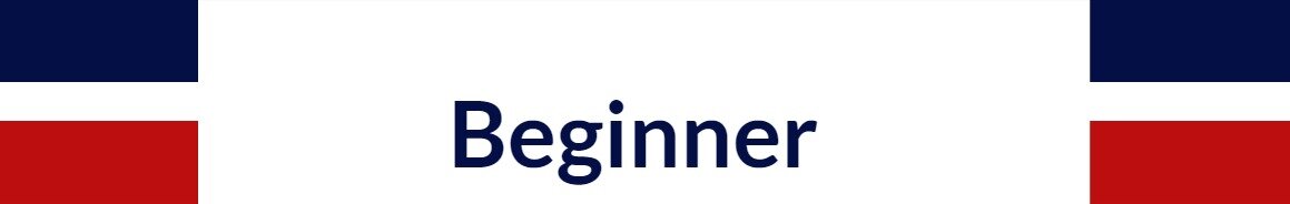 Beginner Presencial